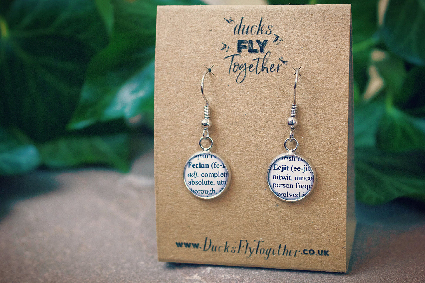 Feckin Eejit Earrings - Funny, novelty gift! Fake dictionary definitions. Irish slang. Insult gift! Mothers Day Gift. Gift for Mum.